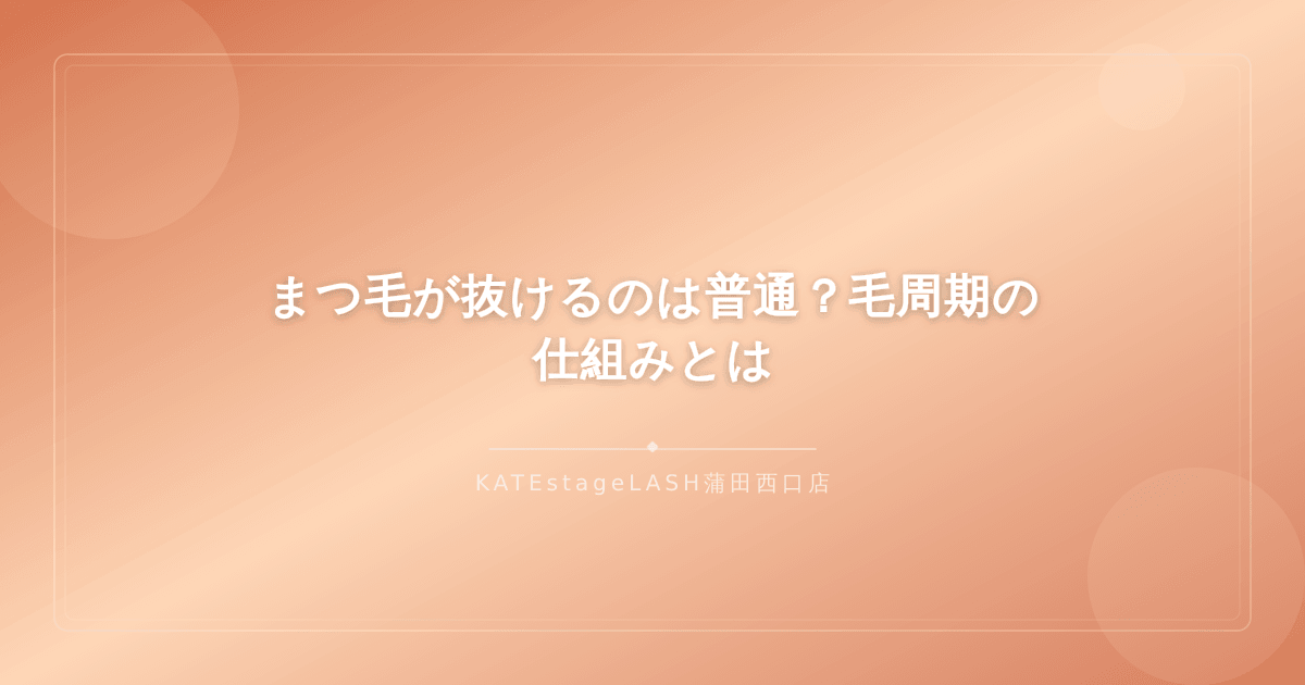 まつ毛の毛周期サイクルの仕組みを解説するイメージ