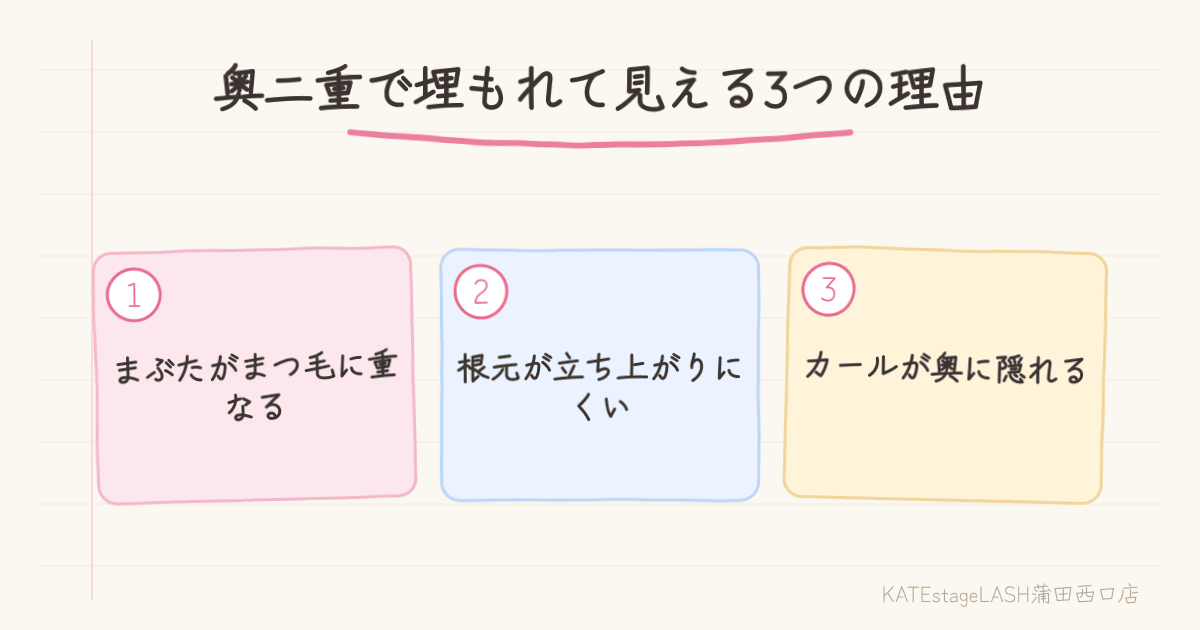 奥二重でまつ毛が埋もれて見える理由の図解
