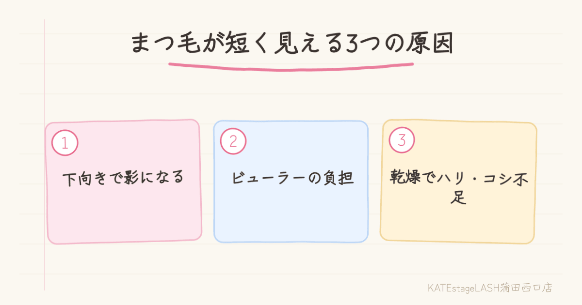 まつ毛が短く見える原因と長く見せる工夫の解説